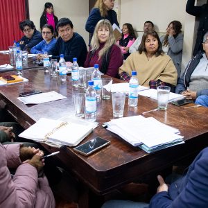 Reunión por cableado (8)