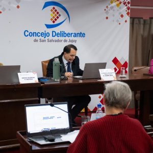 Sesión Ordinaria (12)