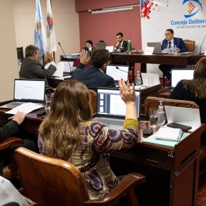 Sesión Ordinaria (12)