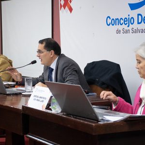 Sesión Ordinaria (14)