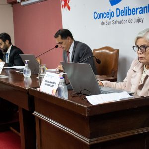 Sesión Ordinaria (3)