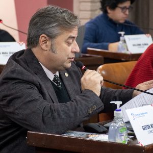 Sesión Ordinaria (4)
