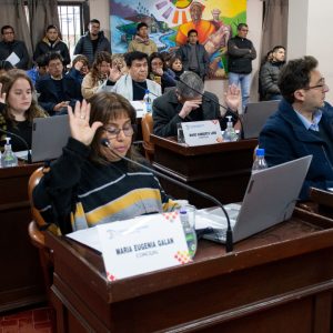 Sesión Ordinaria (5)