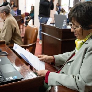Sesión Ordinaria (7)