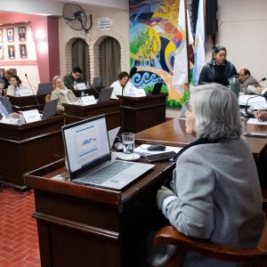 Sesión Ordinaria (9)
