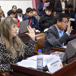 Sesión Ordinaria1